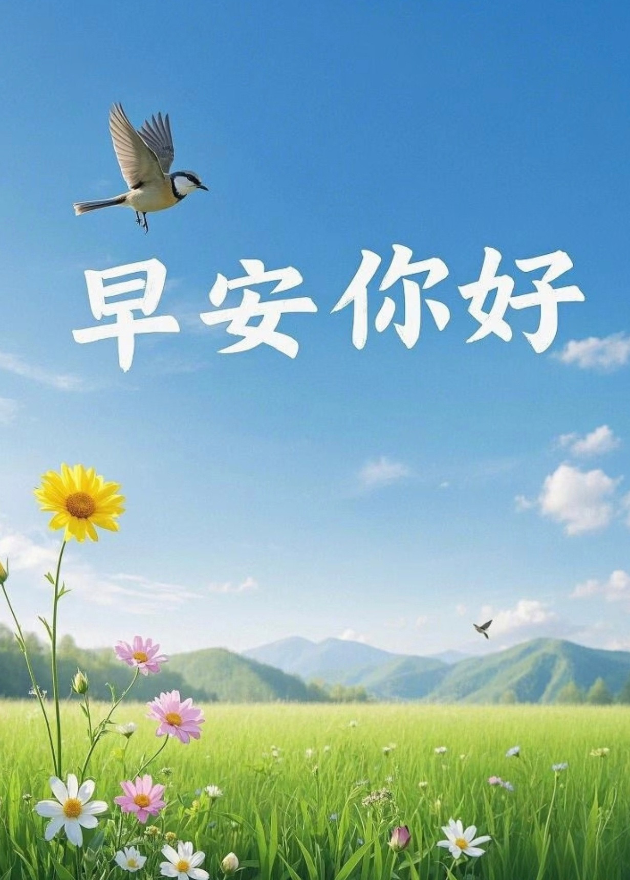 生活没有固定模式，在平凡的日子里寻找美好，让努力和微笑成为日常。一路向前，终会遇