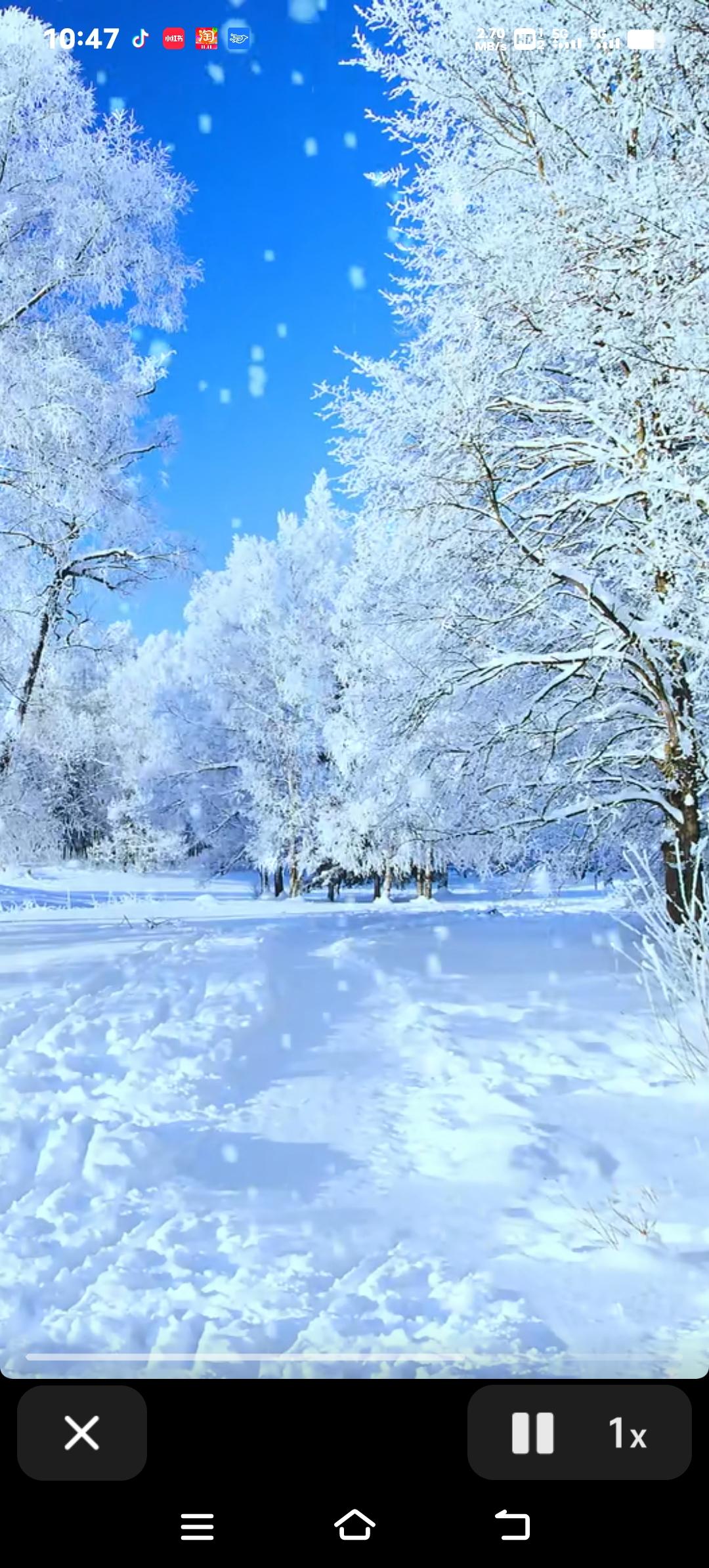 2025年初雪突袭！多地迎来鹅毛大雪，积雪已达5厘米初雪悄然降临，全国多地变成