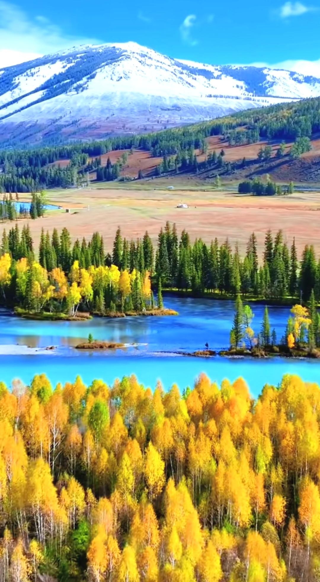 职工月平均工资包括那些内容？职工月平均工资包含的内容不少。首先是基本工资，这是