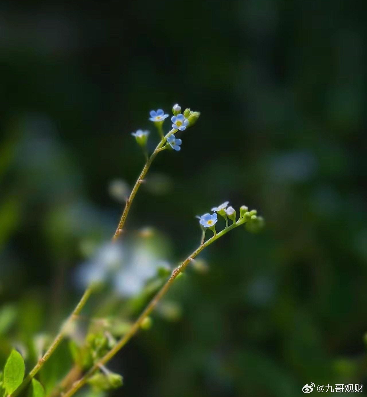 常吃很健康:1、冬瓜炖排骨2、番茄炒鸡蛋3、清炒胡萝卜4、鲫鱼豆腐汤5、西兰花炒
