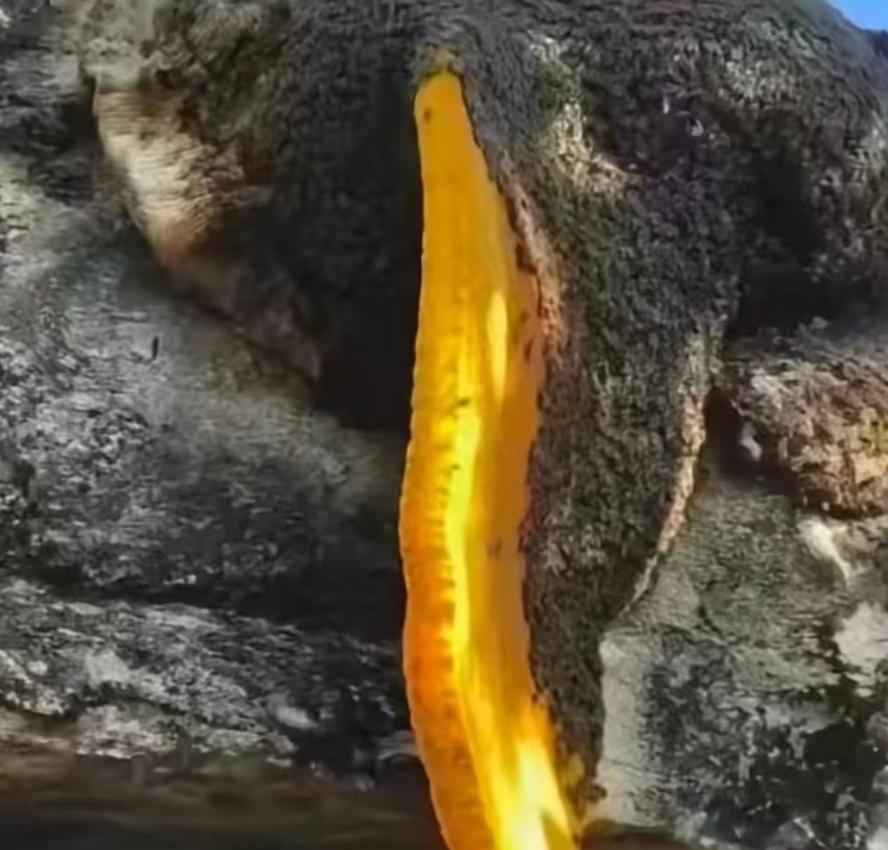 江西48岁男子上山拍照，休息时突然看见石缝流出金黄色液体，走近一看当场愣住：山里