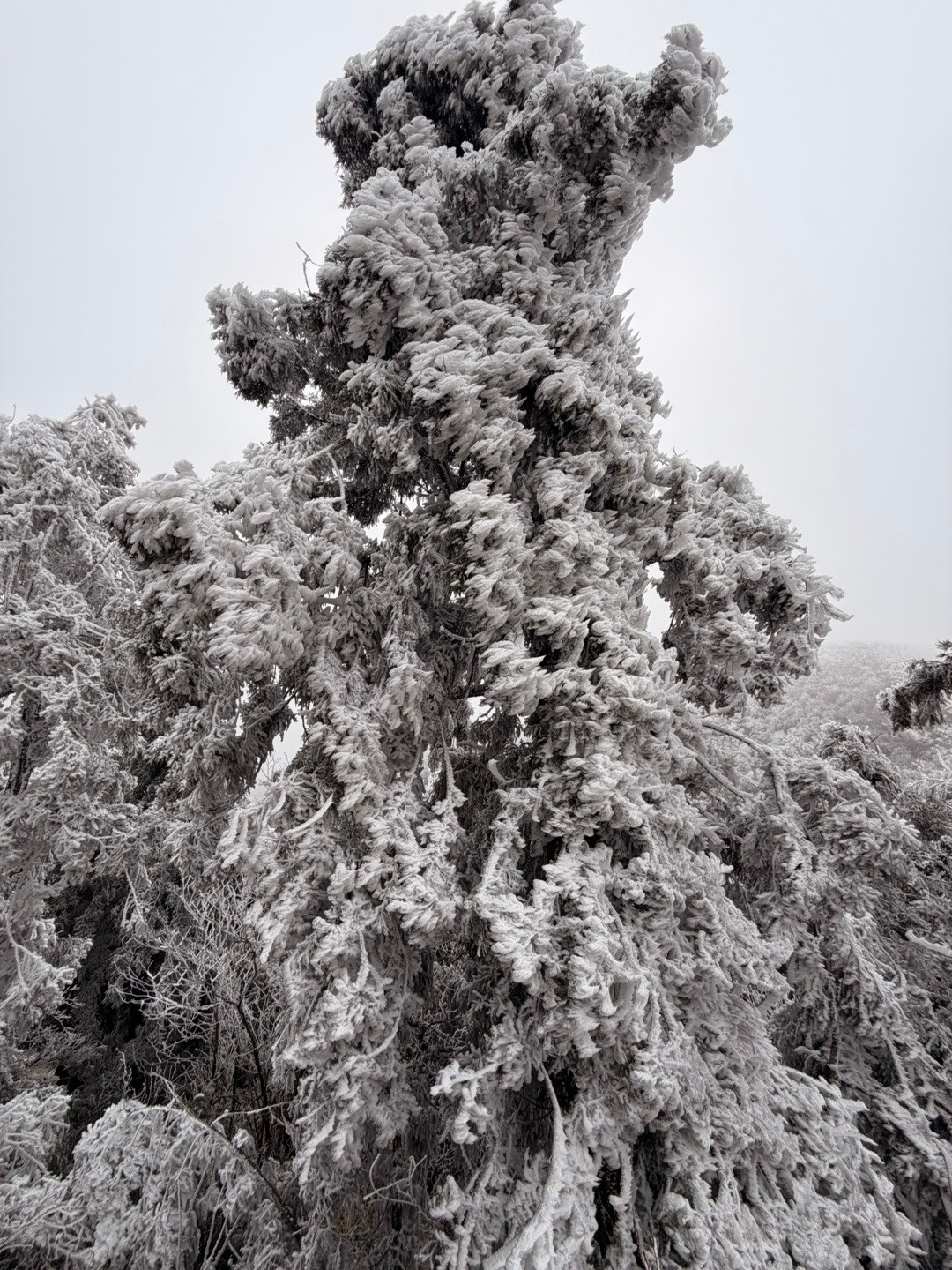 6G通信10家核心企业简析1.中兴通讯：6G全链条龙头，IMT-2030推进组