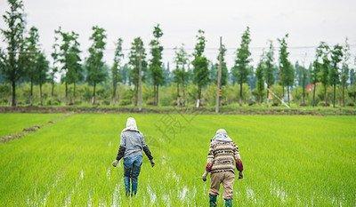 中俄粮食产量差距犹如断崖！俄罗斯年产1.28亿吨，中国多少吨？中国202