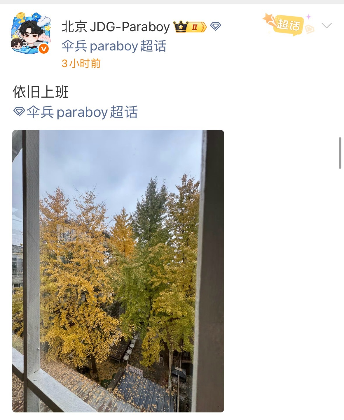 伞兵paraboy银杏黄啦🍂辛苦小伞acg优创官2025pel