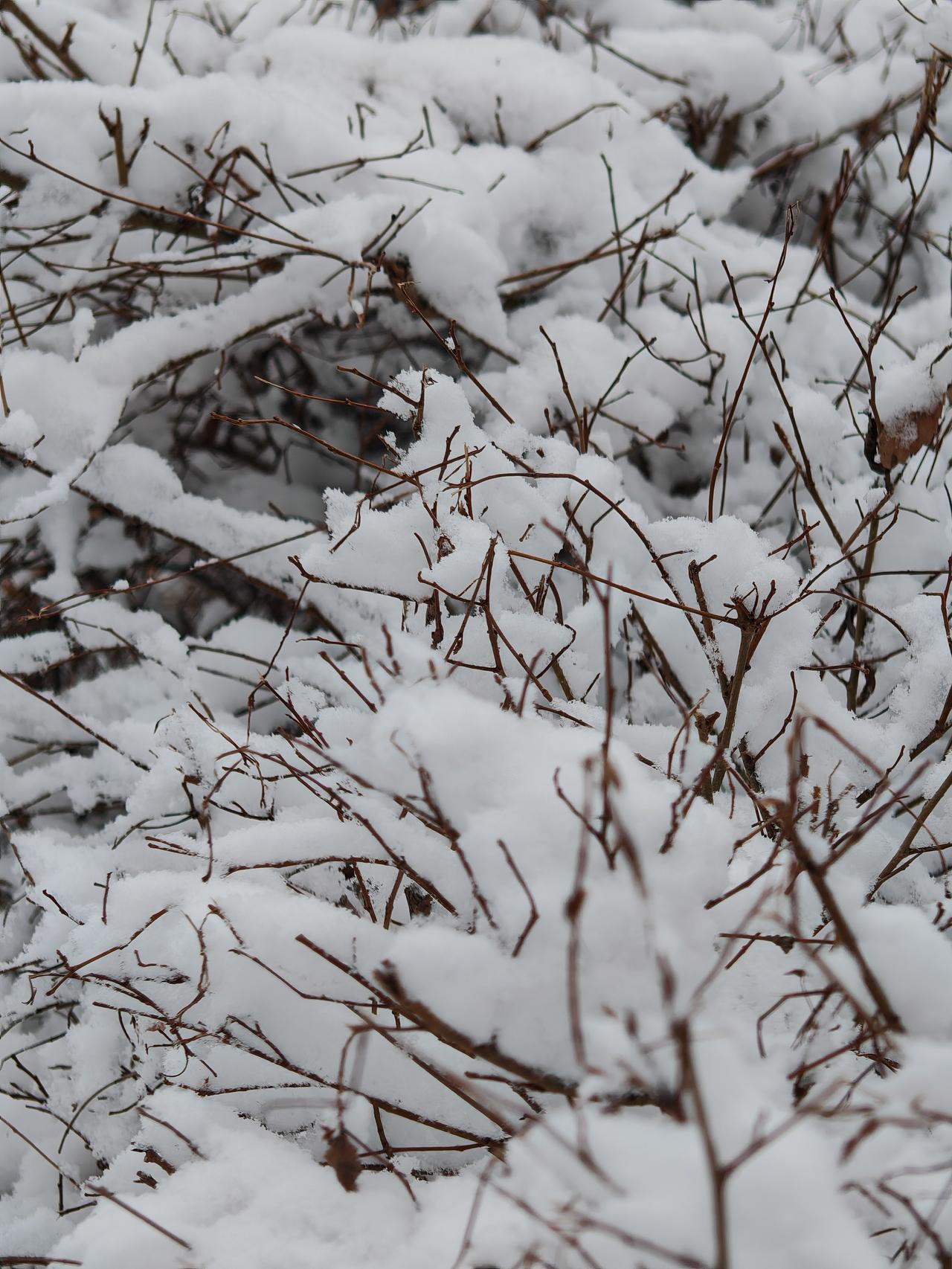与痛风斗争的历程75周日总算能睡个懒觉，可昨夜酒喝得尽兴，后半夜却被