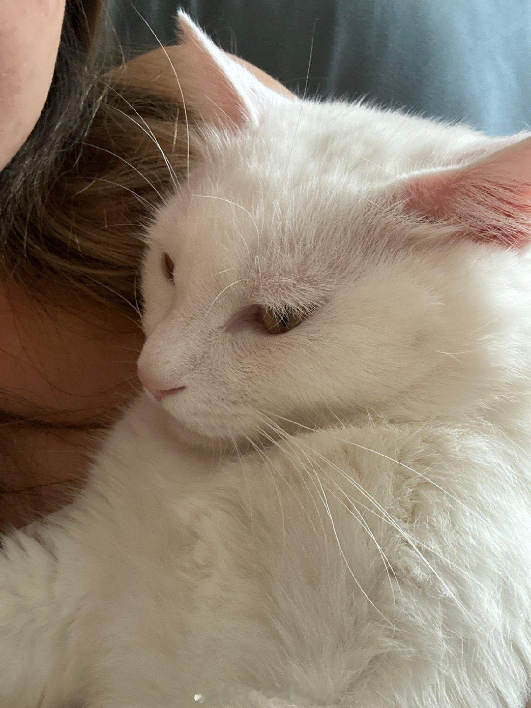 两位预备役留守儿童的周末😺​