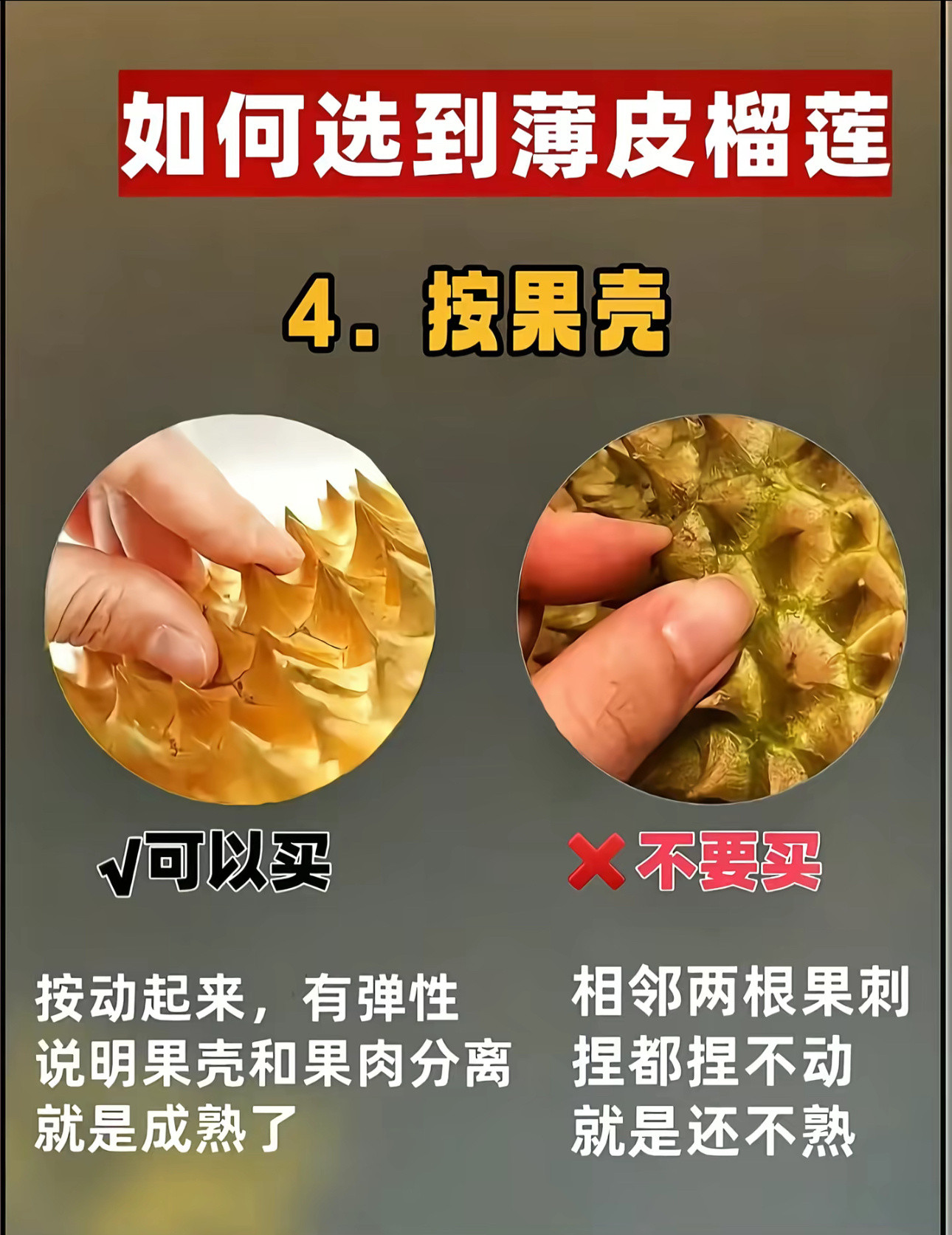 榴莲等等党赢了开到报恩榴莲需要一点技巧!!!主要先这四步!!!