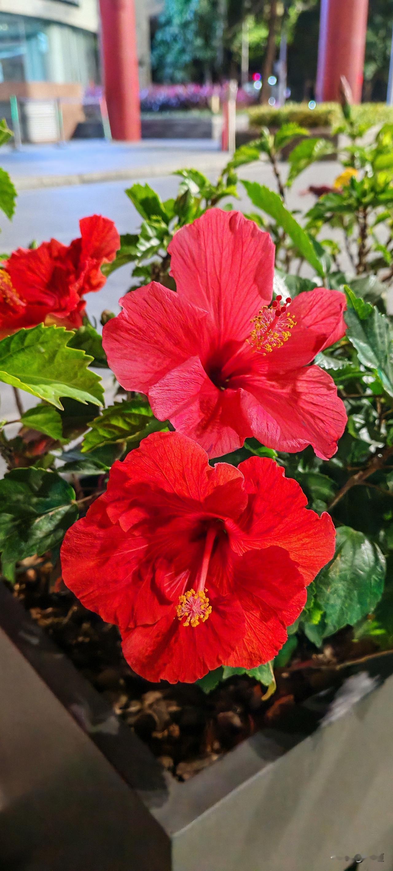 我回来了，对，半夜12点13分我跑步回来了。晚上10点20出去的，过完马路，我