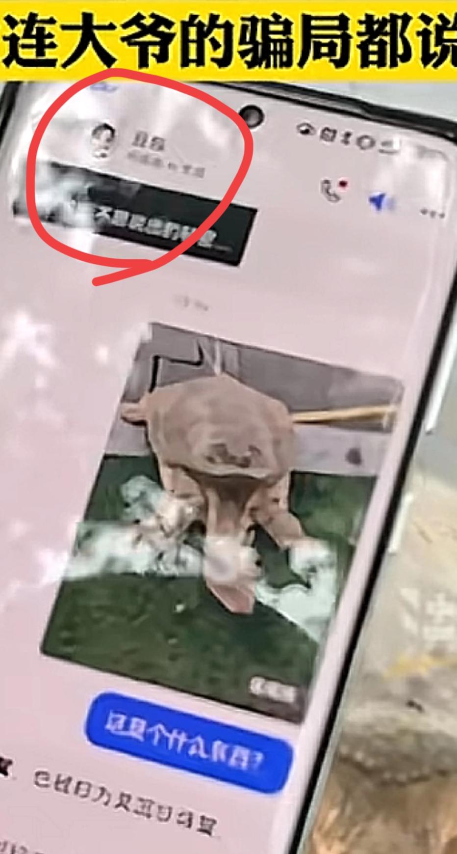 “豆包立功了”。男子在街上碰到一位穿着朴素的大爷，正用扁担挑着一只龟叫卖。男子好