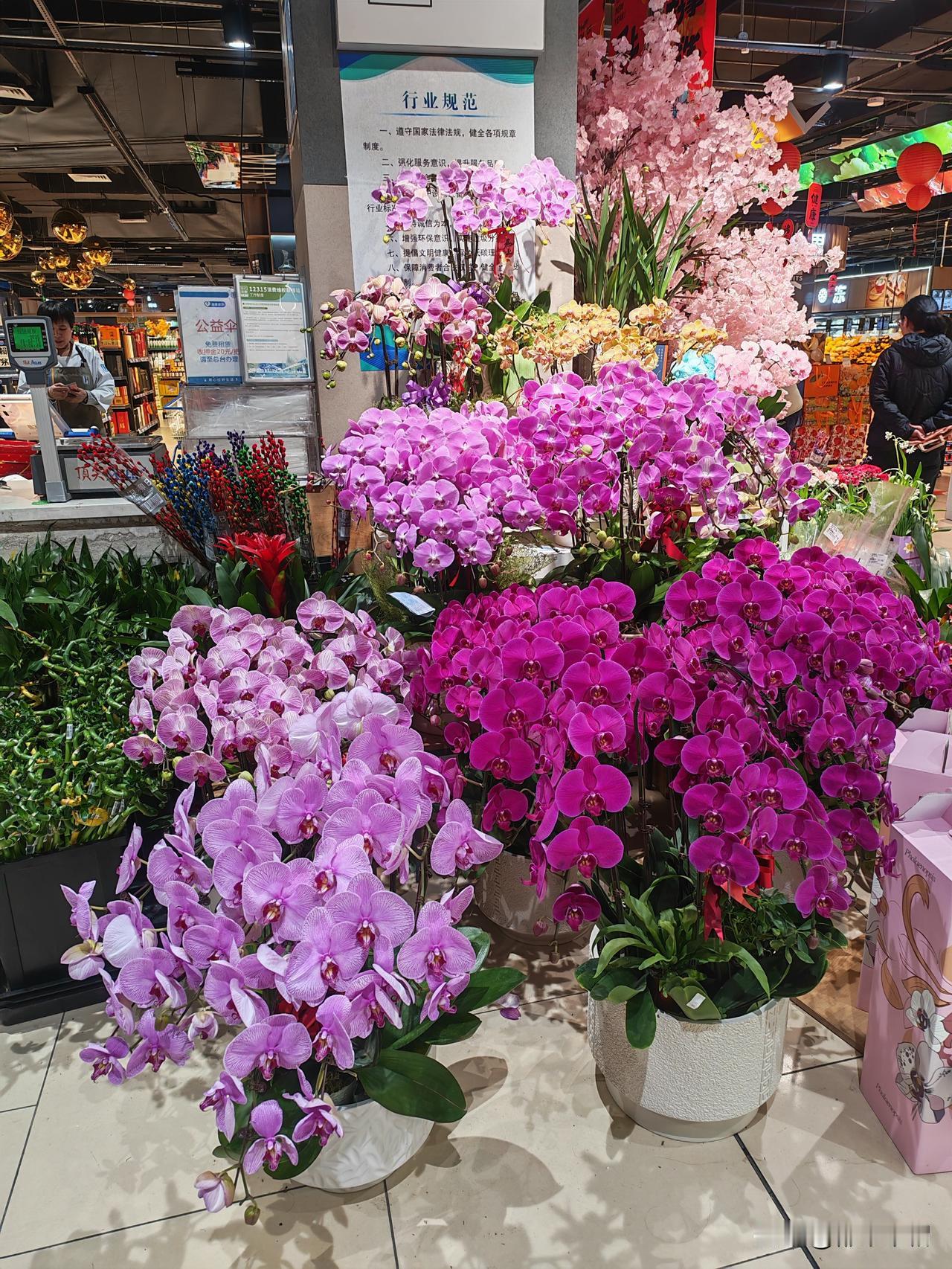 独家在异乡，不用去亲戚家拜年。小时候，稍大一些父母就让我独自去亲戚家拜年，因