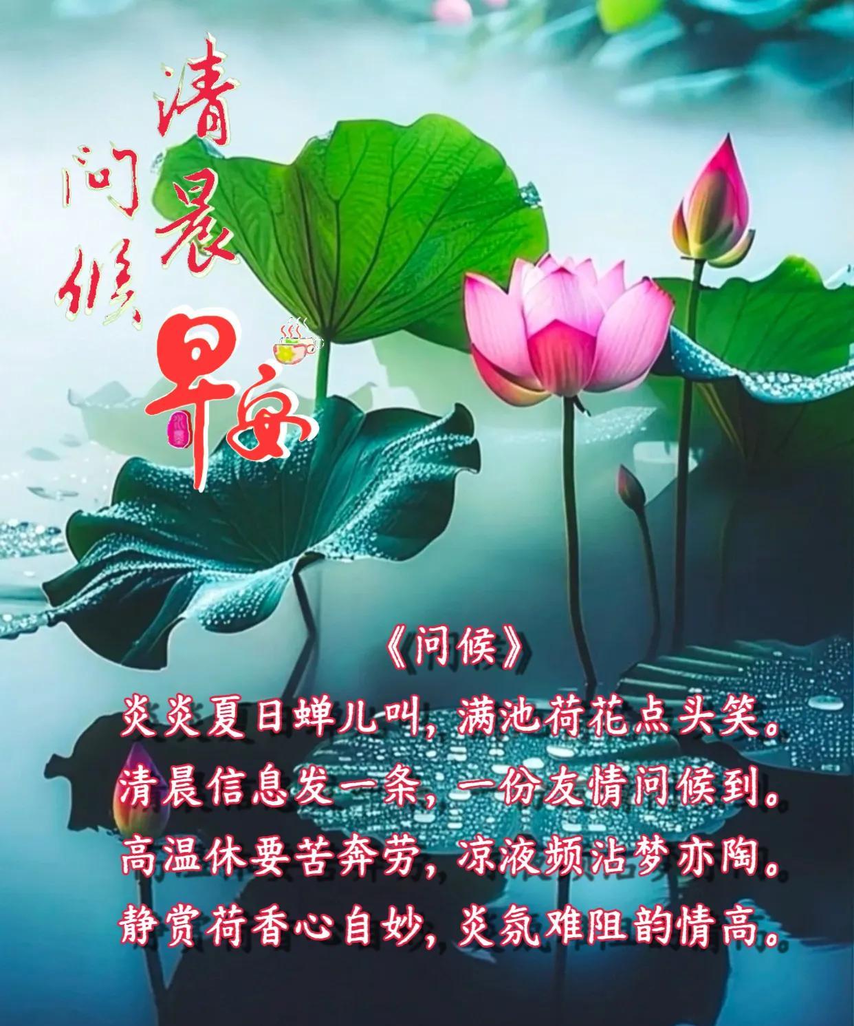 朋友：清晨问候早安！《问候》炎炎夏日蝉儿叫，满池荷花点头笑。清晨信息发一条