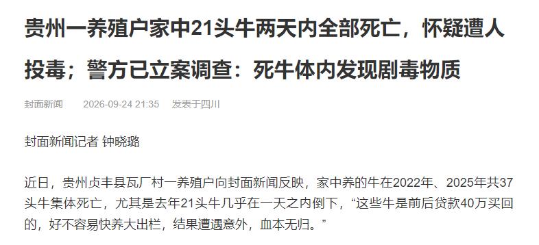 “不对劲！”贵州，一名男子贷款二十多万，买回16头小牛，天天细心照料，眼看牛快要