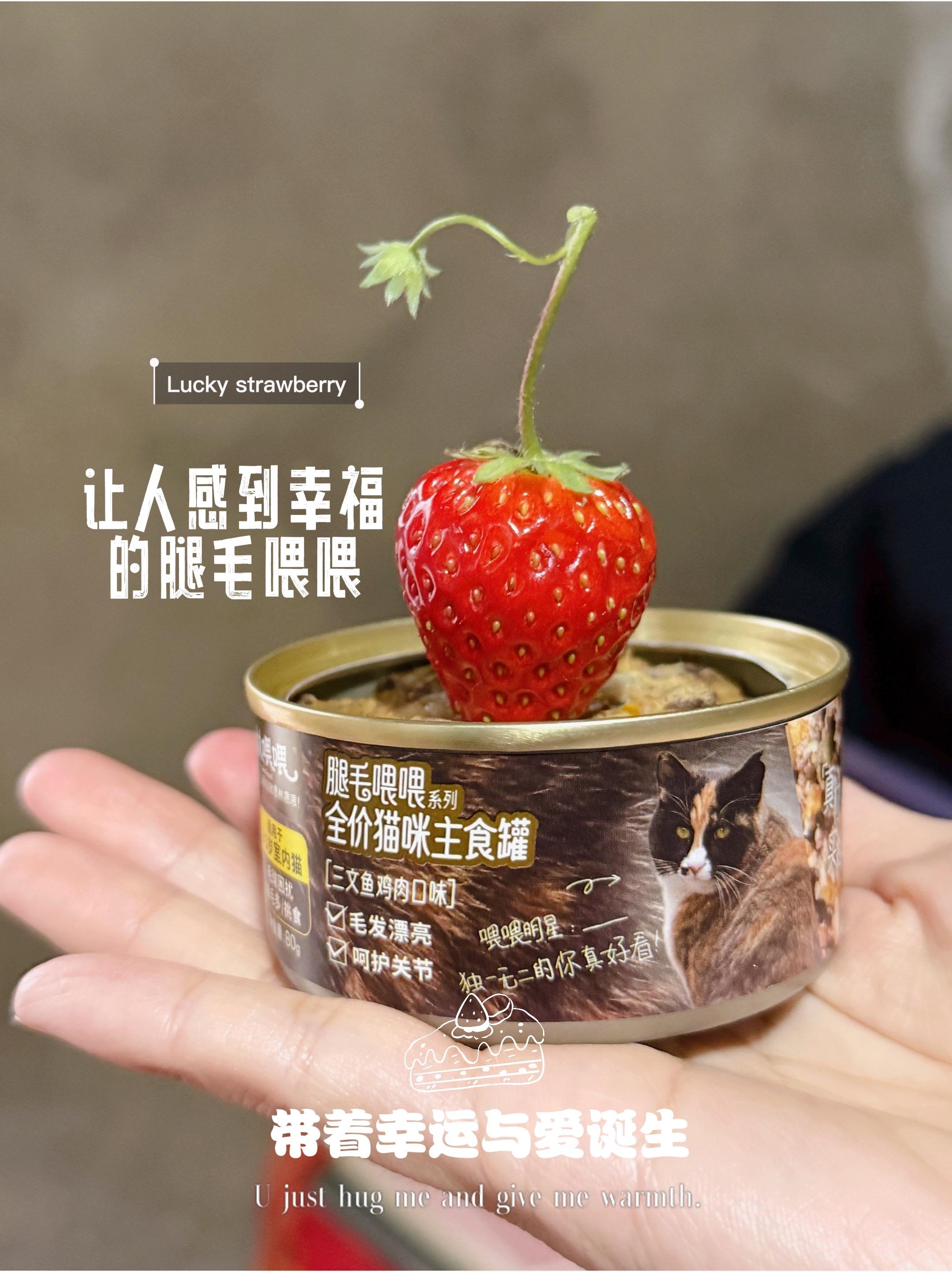 记录腿毛喂喂猫主食罐诞生这几天所有。让我感觉幸福的瞬间。带着真诚与爱出...