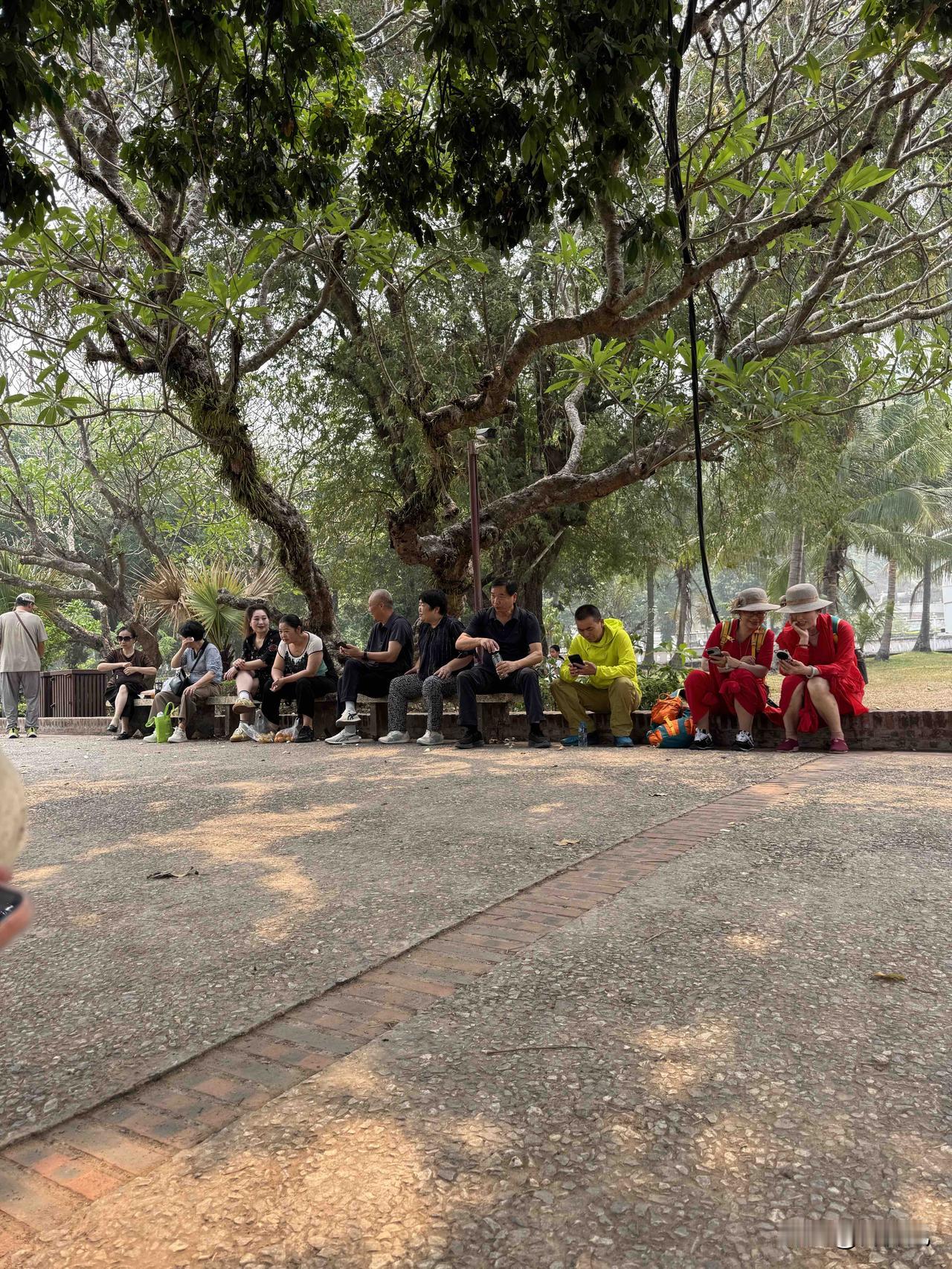 在老挝一个公园拍的，中国大妈一身红裙着实打眼。红色服饰一个人穿戴还行，一帮人