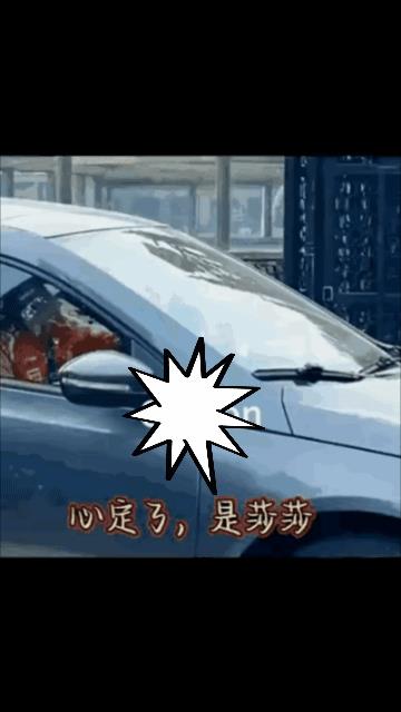 莎莎出现了也对，不能老不露面每次都不知道藏哪出来的这次还特意揺下了车窗怎