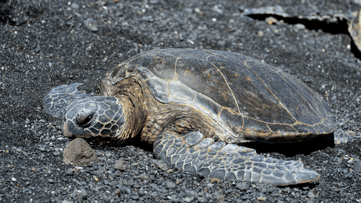 4912648612447260854.jpg?id=0