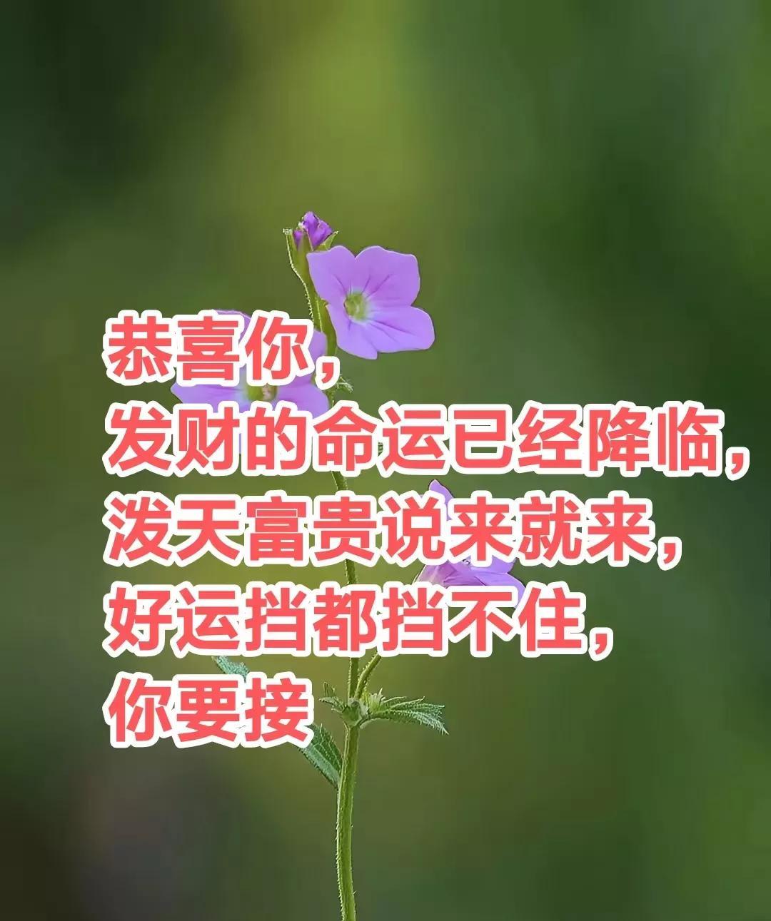 恭喜你，你发财的命运已经降临，泼天富贵说来就来，好运挡都挡不住，接了，人生从此风