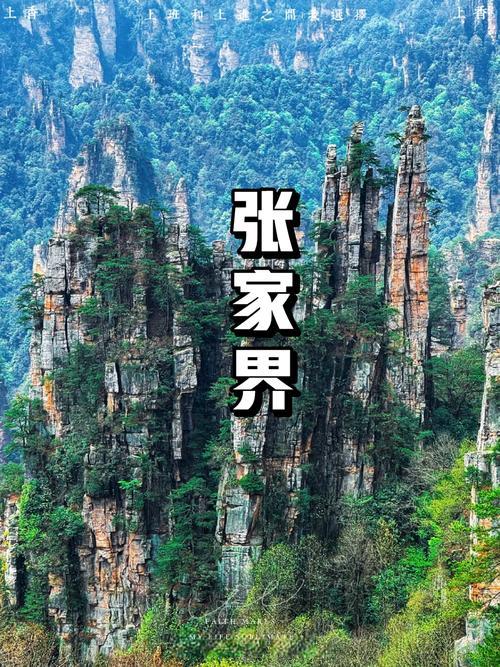 以前大家去就是爬山、看山、拍拍照，现在玩法全变了。它不靠老本吃饭了，而是把文化