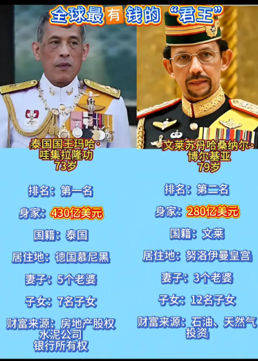 全球最有钱的，两位国王。他们共同点，老婆多，孩子多。泰王，排第一。泰王5个
