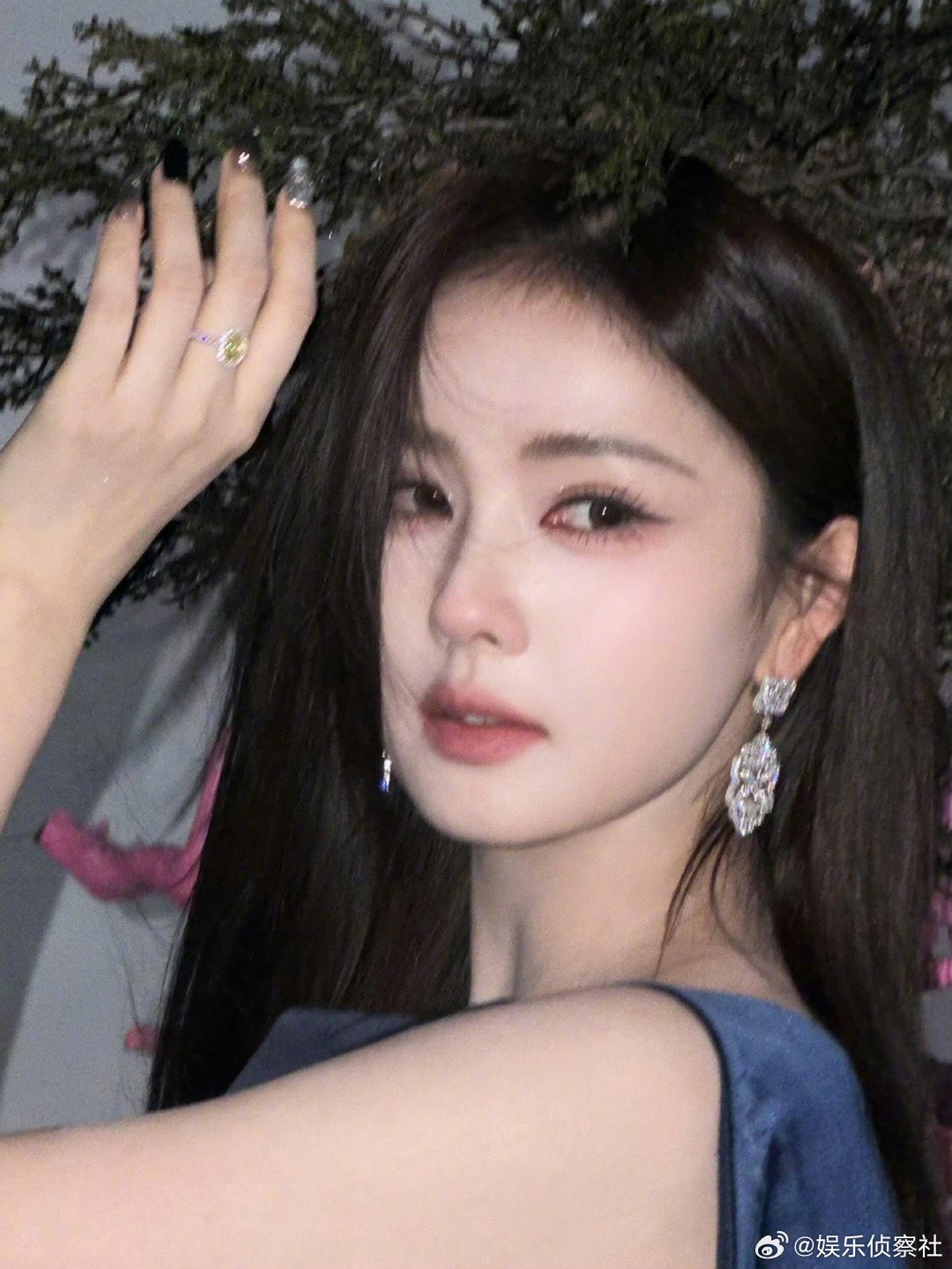 这个白鹿真的好美😍