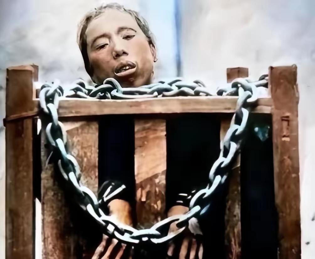 1864年11月，年仅16岁的太平天国幼主洪天贵福被押赴刑场处决，他在来的囚车上