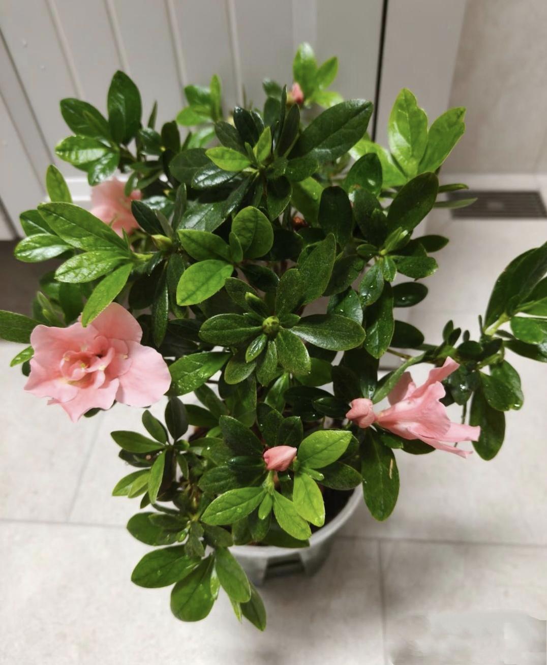 76岁秦阿姨生病住院，不让两个儿媳伺候，让两个儿子请护工照顾。出院医保外花129