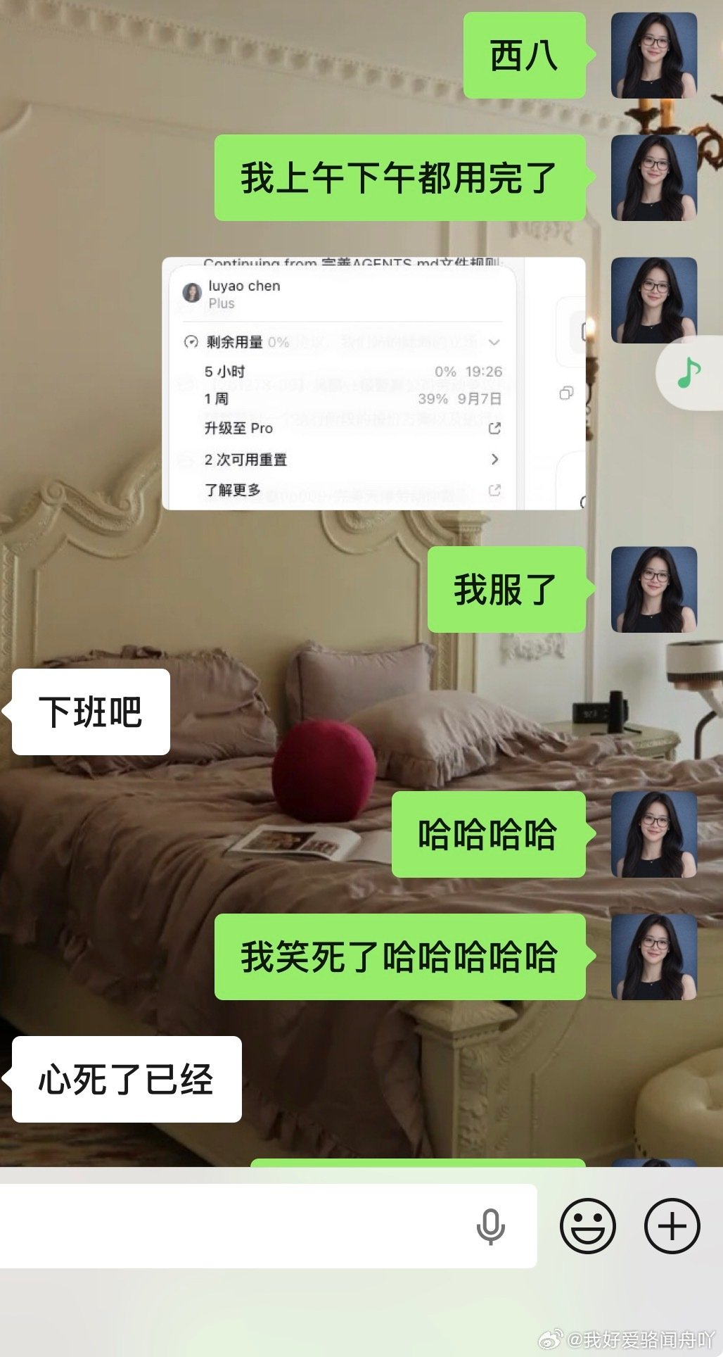 我们就这样依赖codex​