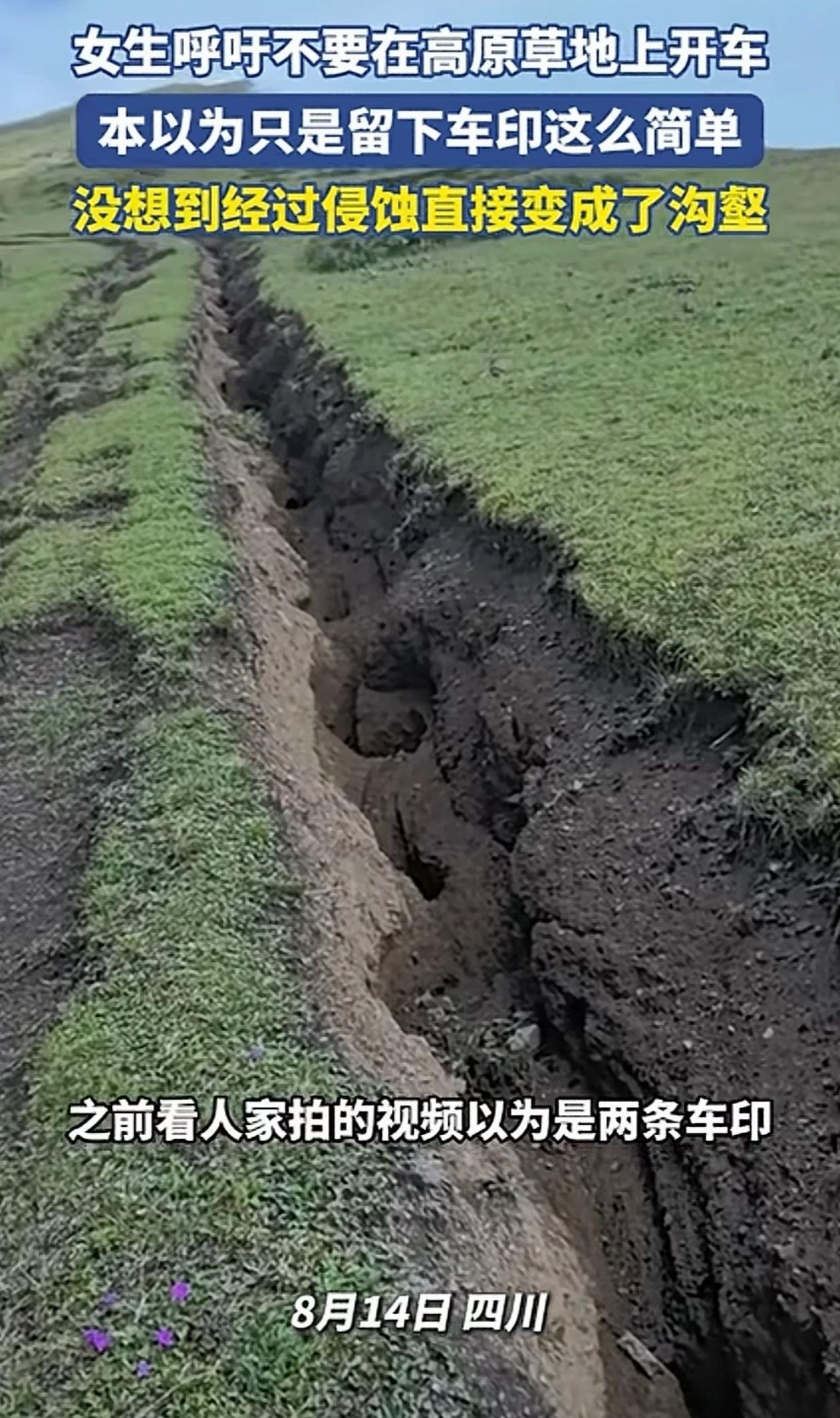 “出乎意料了！”四川，有人在高原草场上开车，一开始只留下两道浅浅的轮胎印，可过一