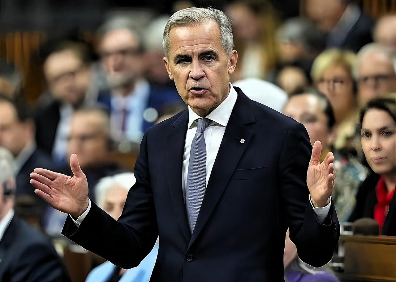 中美贸易战进入一年休战期，咱们终于可以腾出手来，直面荷兰与加拿大的不合理行径。德