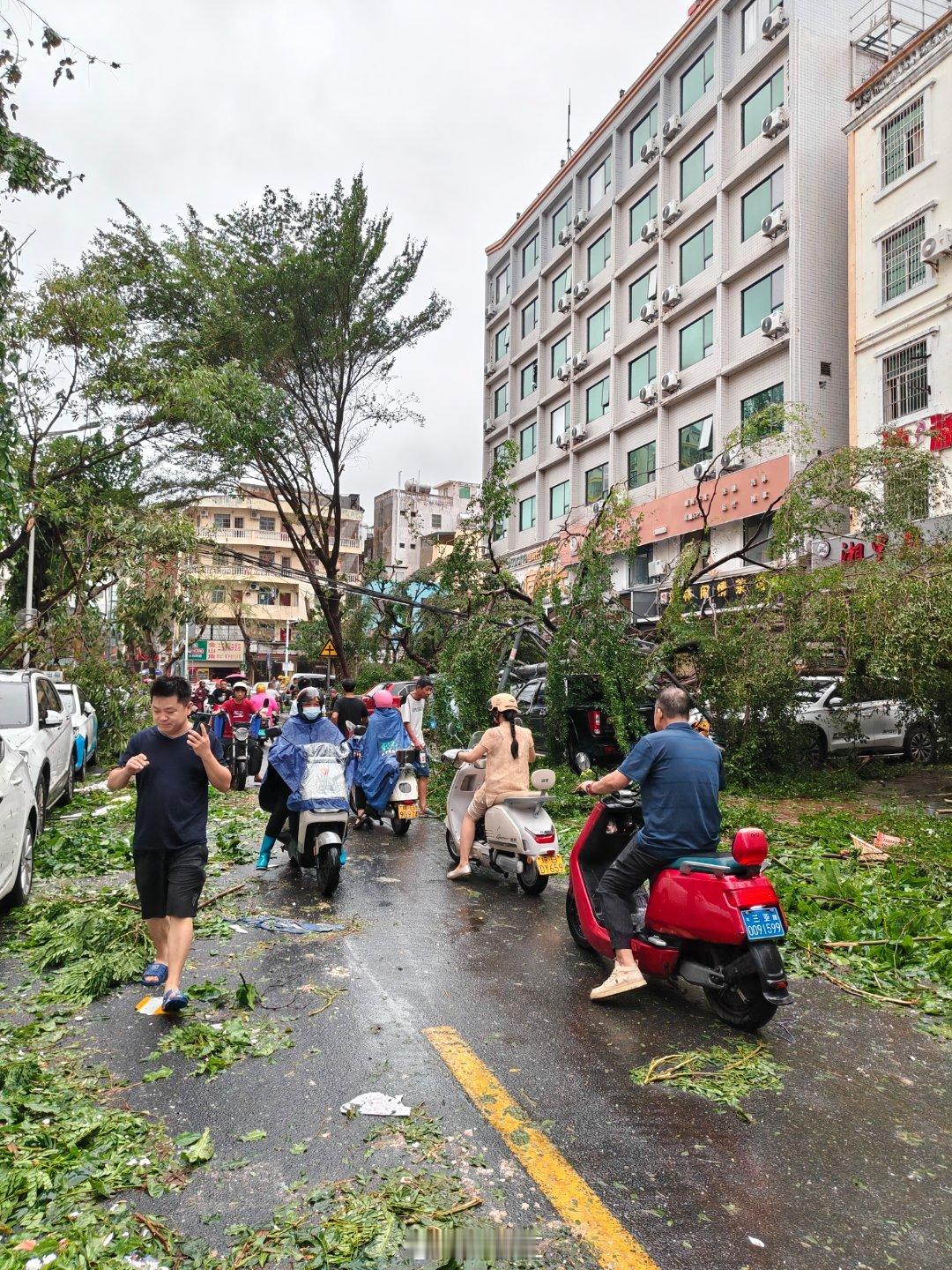 台风“剑鱼”过后，三亚很多茂盛的树变成了“残枝断叶”，一些玻璃碎成了形态各异的玻
