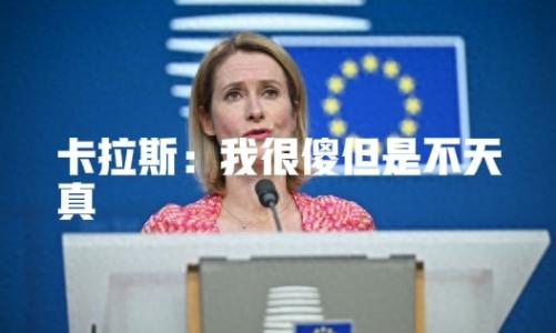 全世界都在问欧洲，你们真的没有再比卡拉斯聪明的政客了吗？为什么要让一个毫无知识和