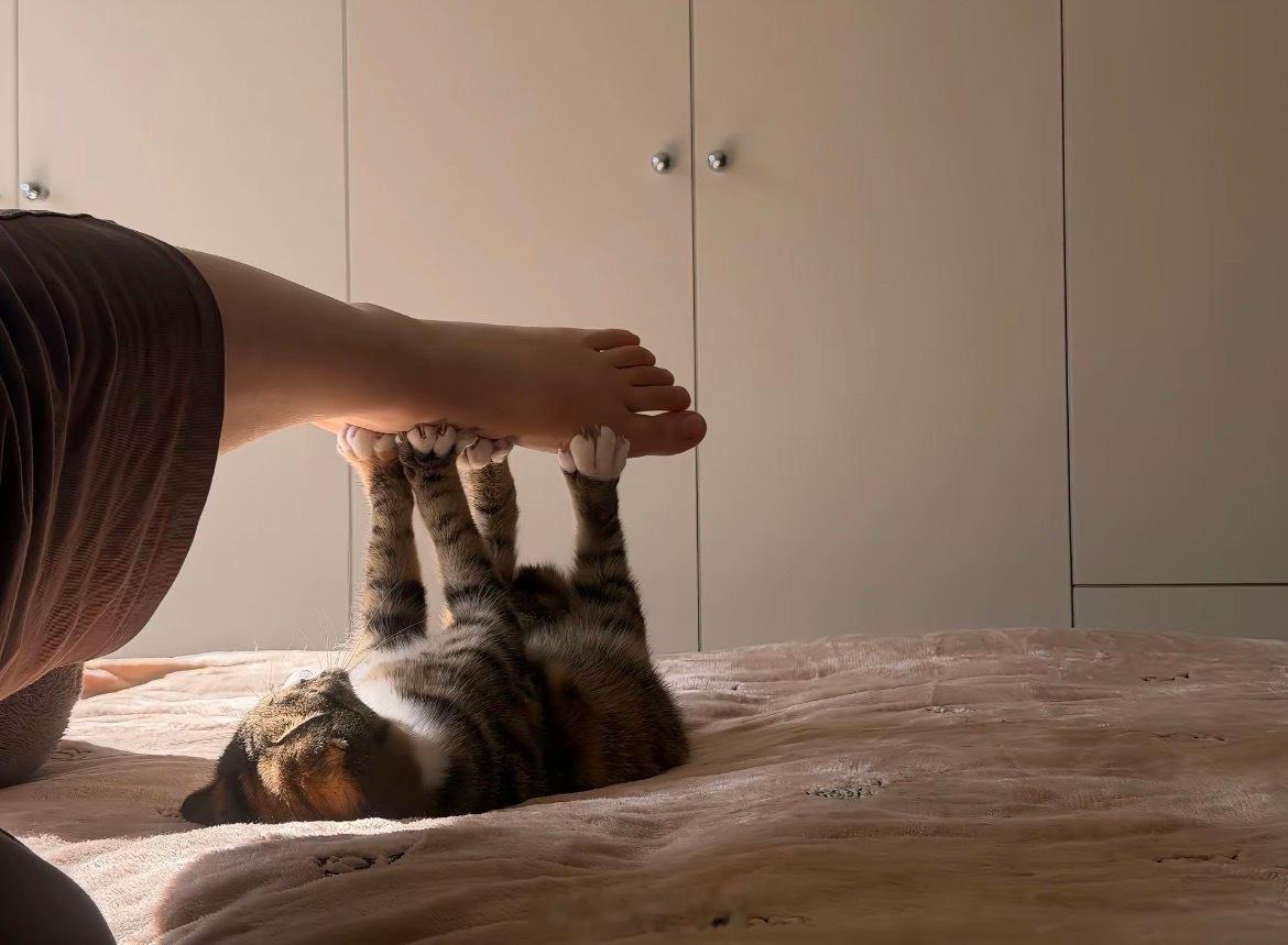 咪垂直于人定理