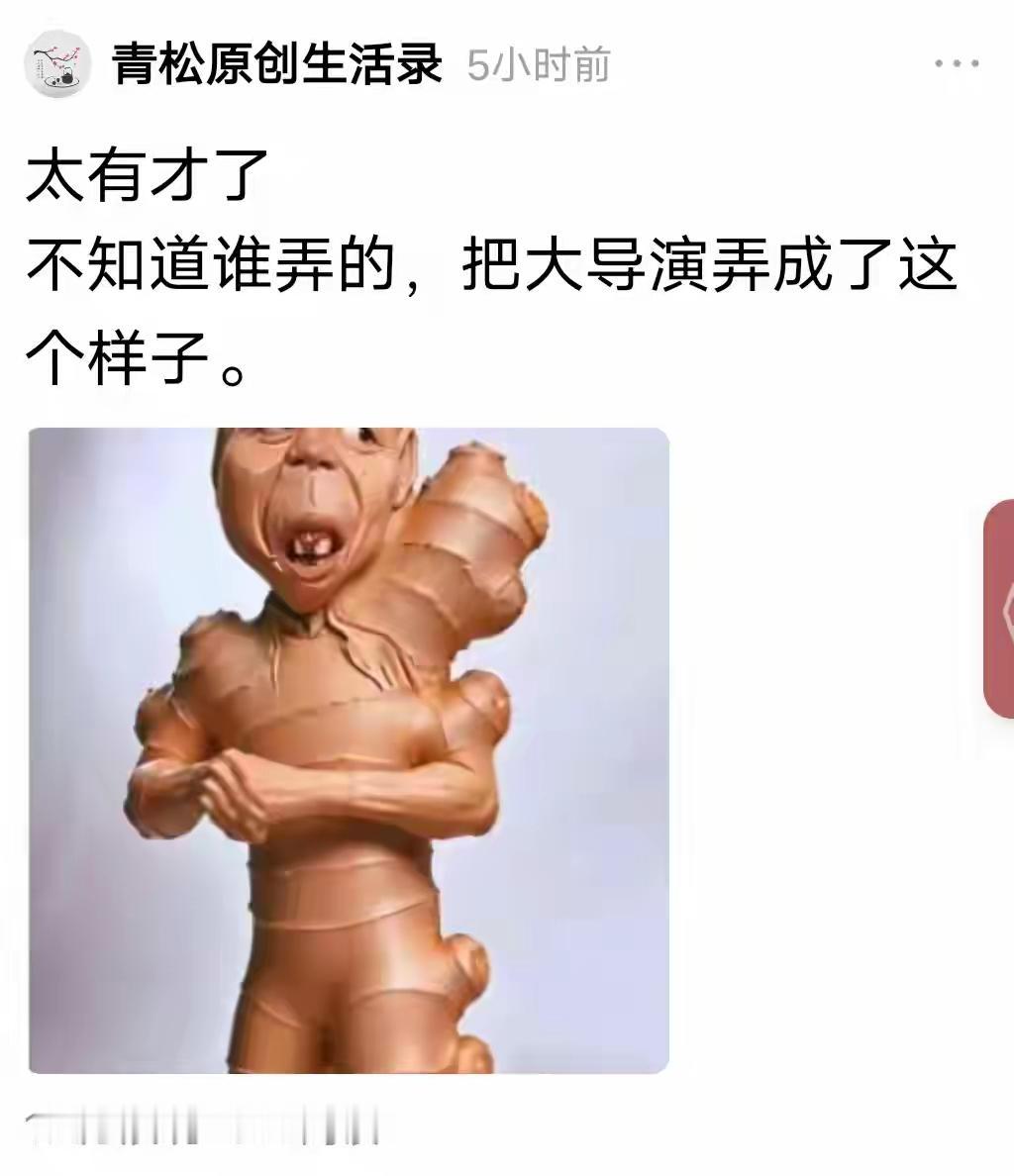 太有才了。要是再穿上个裤衩子就完美了。