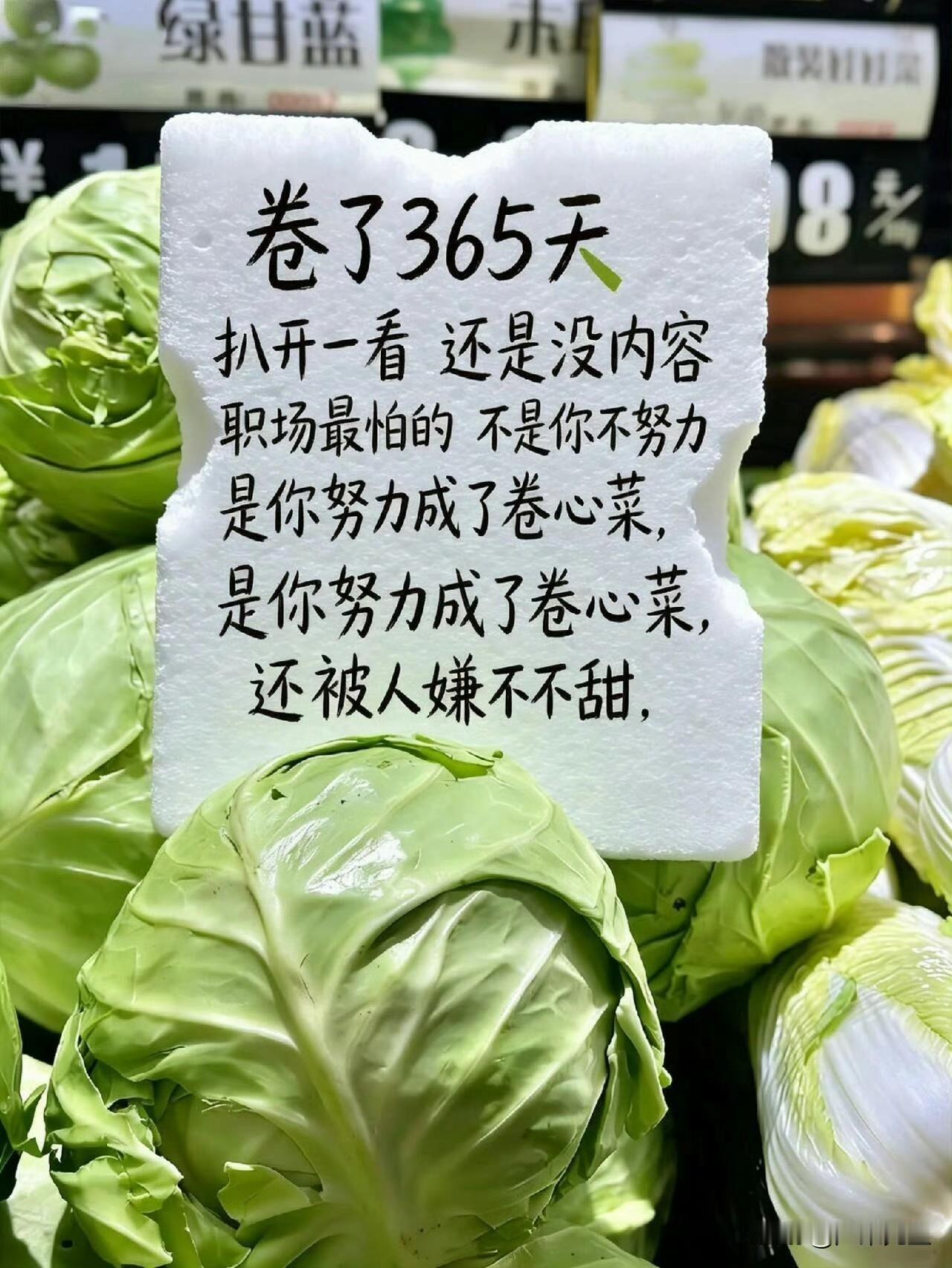 今日排三预推【208】三码及以下含组三、豹子。四码：5679三胆：679二