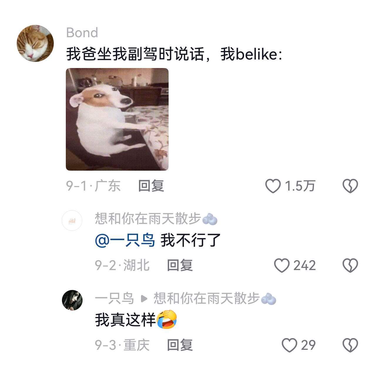 考完科四还得考来自父亲的科五直到我爸坐上副驾才明白教练的脾气有多好​​​