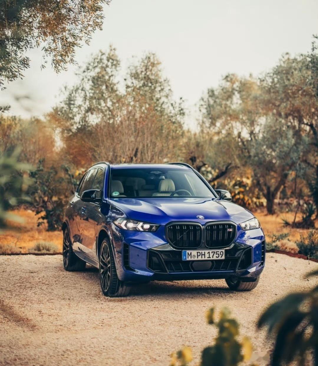 宝马X5M雷霆和X6M雷霆不再引入中国一切都来得太快了X5M称得上真正的公路坦克