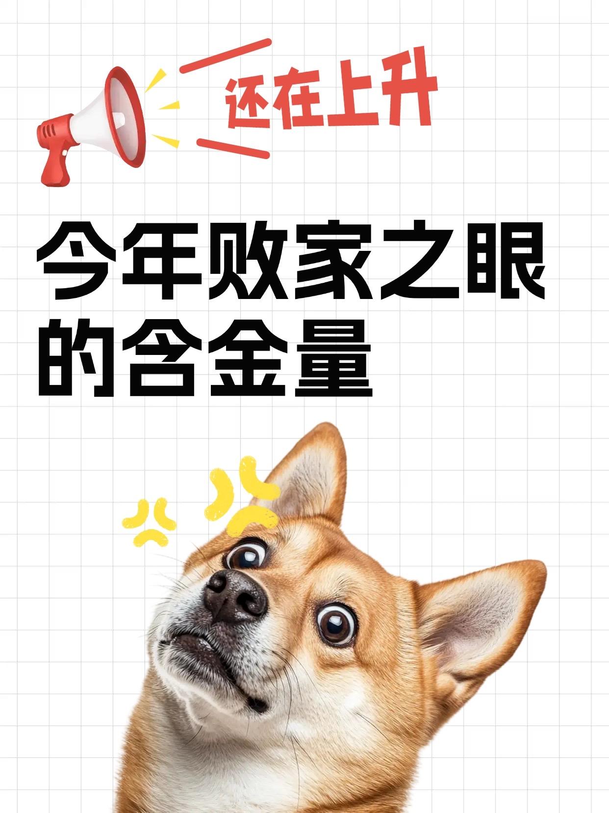 简单看了一圈已上架的RTX5060游戏本新品，今年各家品牌是真的卷啊，7999