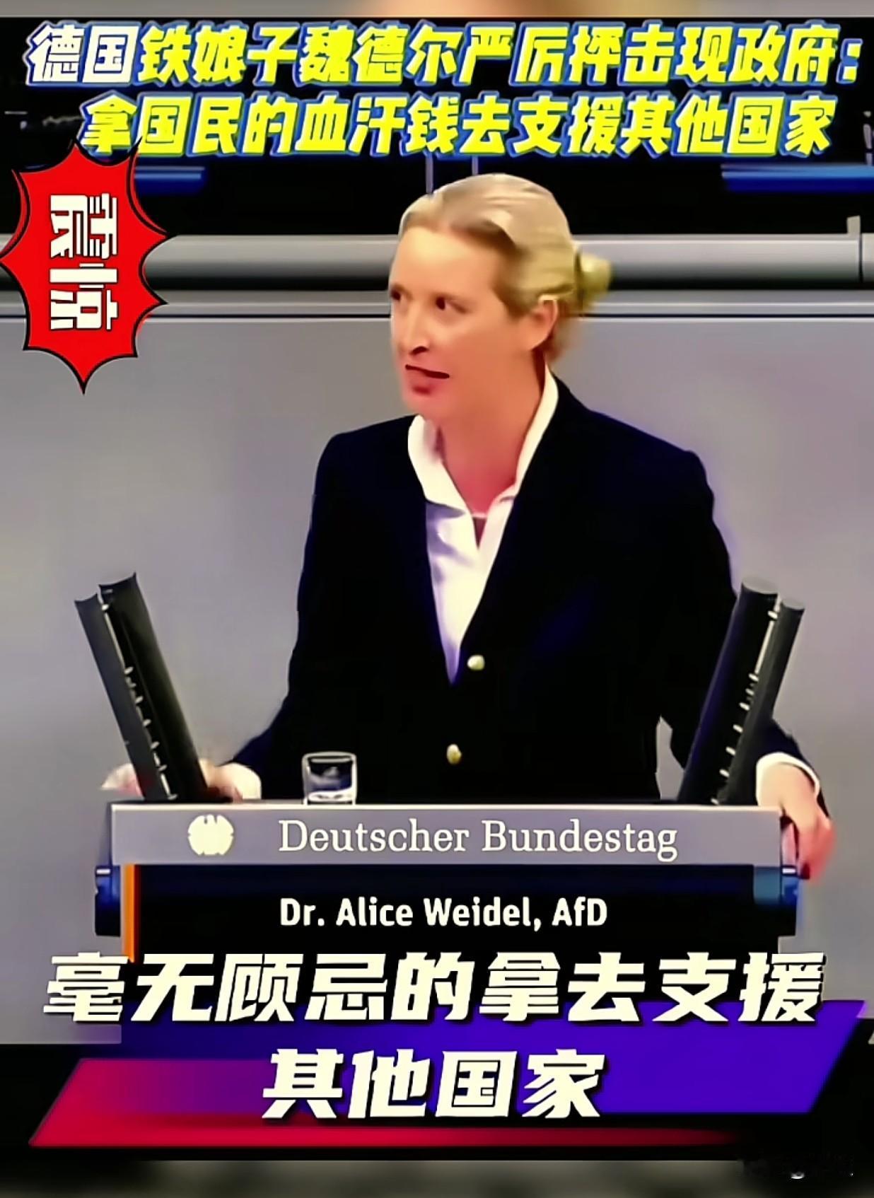 挺赞同德国铁娘子魏德尔批评德国政府说得这段话的：“到底谁给你的权利，把人民辛苦赚