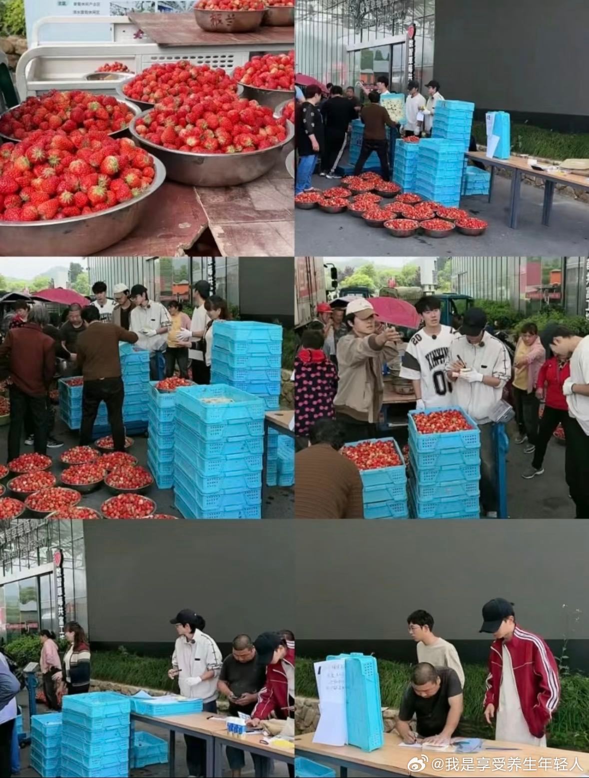 十个勤天到底瞒着大家干了多少事不止种地！卖空新疆大枣，墨脱推好物，沙漠植绿18