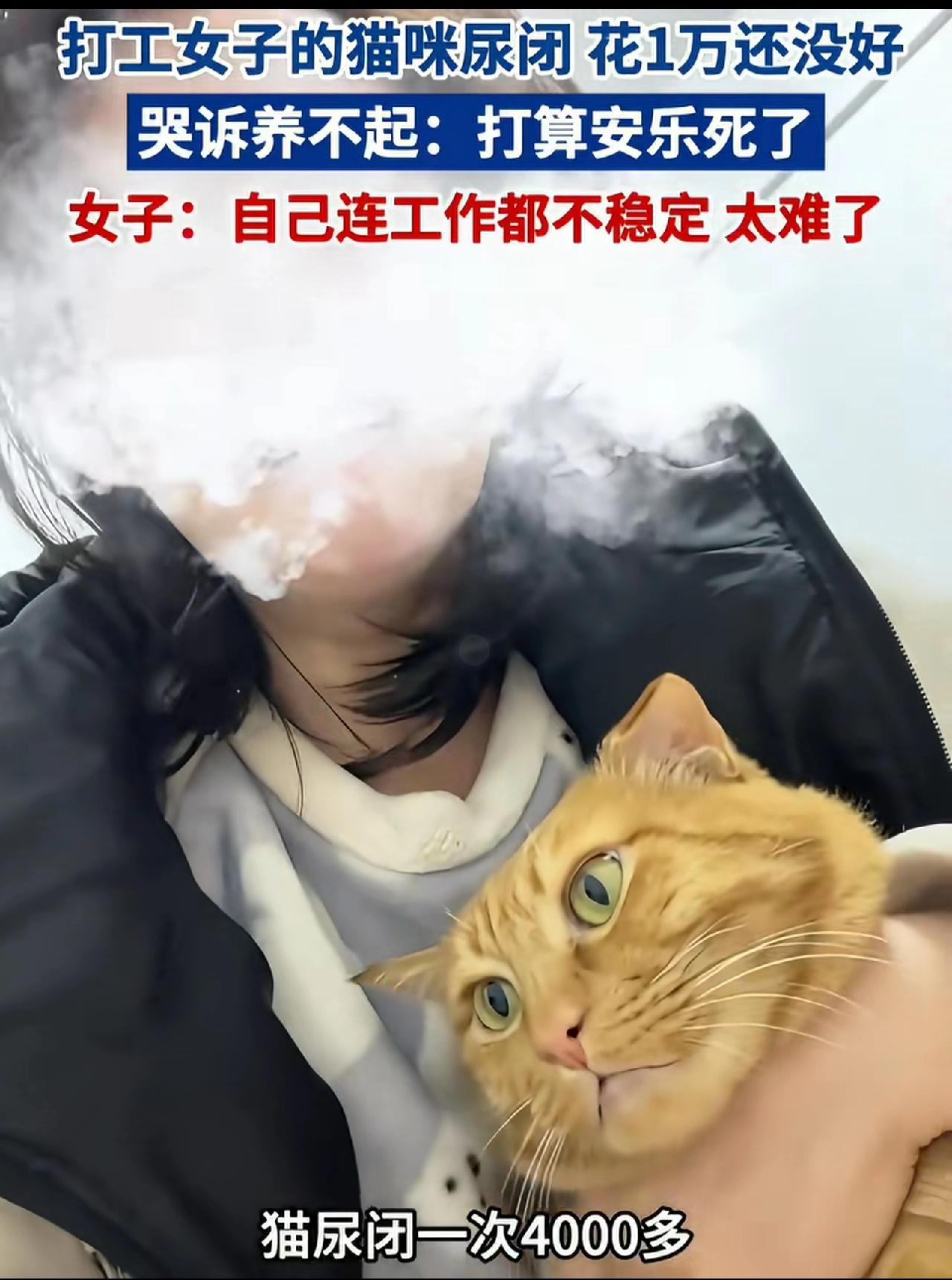 还是先把自己活好吧，如果孝敬父母，我也敬佩