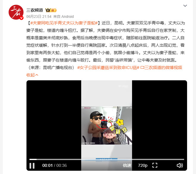 夫妻同吃见手青丈夫以为妻子是蛇昆明夫妻吃见手青没炒熟，当晚中毒去医院输液，觉得
