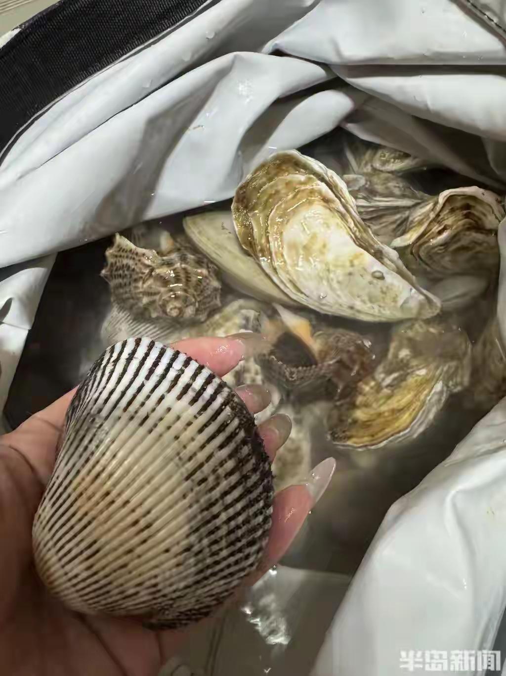 这个双节假期，又有人实现海鲜自由了！据媒体报道，5月3日的一阵风浪，青岛西海岸新