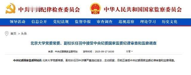 北京大学副校长落马了，对此很多人都搞不懂，大学副校长也能落马？他到底犯了什么错？