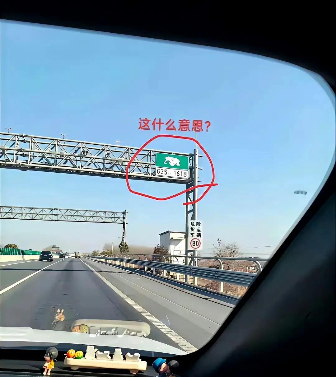 在高速路上看见个标志，你们知道是啥意思吗？大象图案表示河南高速，G35是济广高