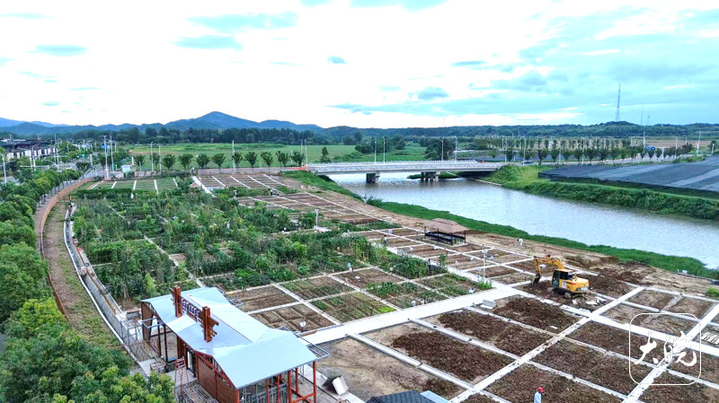【#池州平天湖有个现实版QQ农场#：6岁孩子下地干活，学会了不剩饭】#现实版QQ