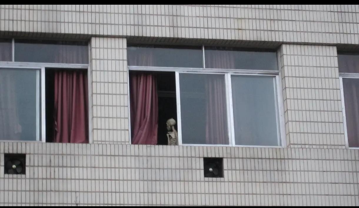 上过医学院的都熟悉一场景：解剖室的骨架模型摆在窗边，旁边就是讲台和电教设施，熟了