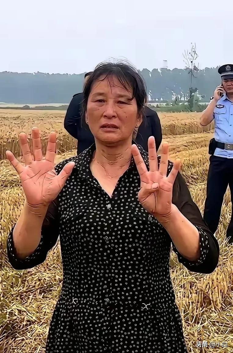 襄阳那场麦收风波，闹到最后，结局比过程更带劲。闹到最后，大妈托侄子，给河南那