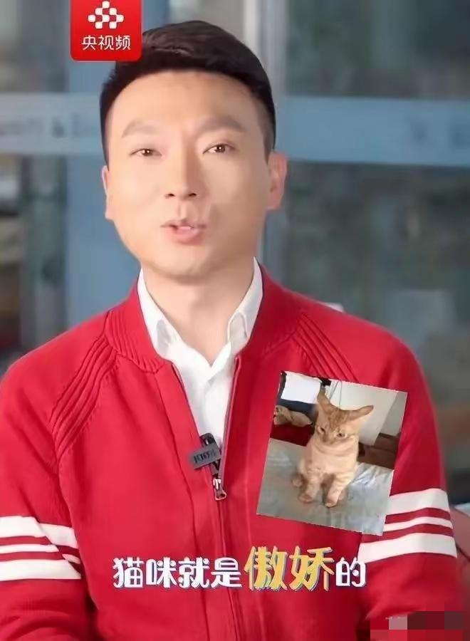 天菩萨，拐求喽！今天才知道！康辉，竟然是丁克。这么好的基因，没有一儿半女，自