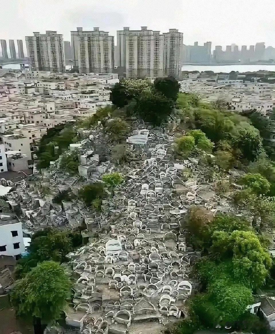 这就是多年后土葬的后果！！！