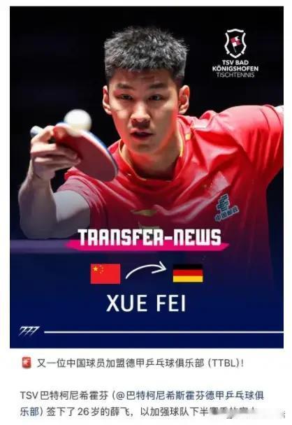 樊振东去了德甲，薛飞去了德甲，陈垣宇去了法甲亨尼邦林高远去了德甲，向鹏加